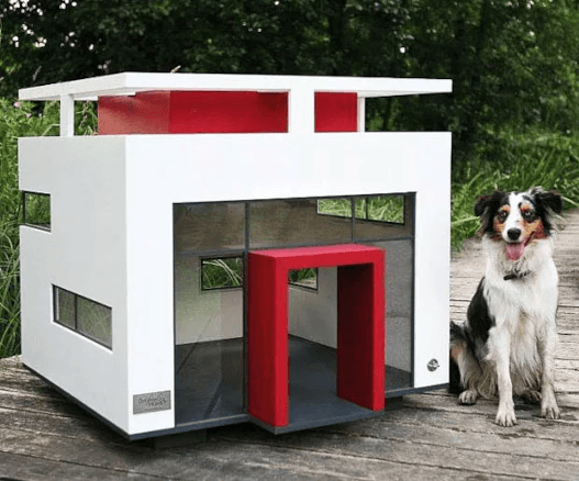 Casa para pets